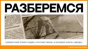 Дмитрий Андреев о санитарной вырубке деревьев и озеленении Перми