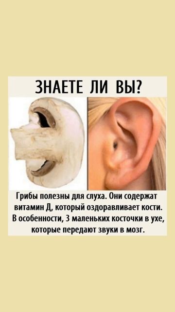 Грибы полезны для слуха  #полезныесоветы #здоровье #польза #полезнознать