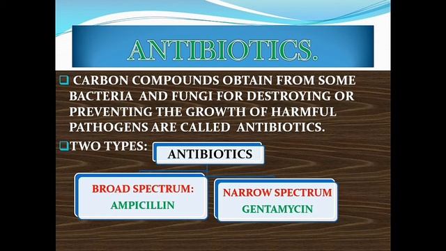 Useful And Harmful Microbes Part 1 смотреть онлайн
