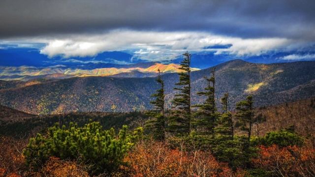 Приморье смотреть онлайн