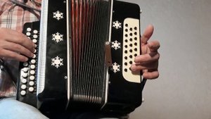 Песня про зайцев. А нам всё равно. Разбор на гармони Цифры.