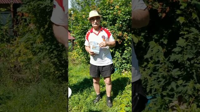 Смиренная охота брать грибы