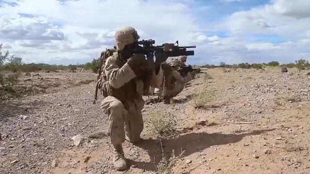 Militaris смотреть онлайн