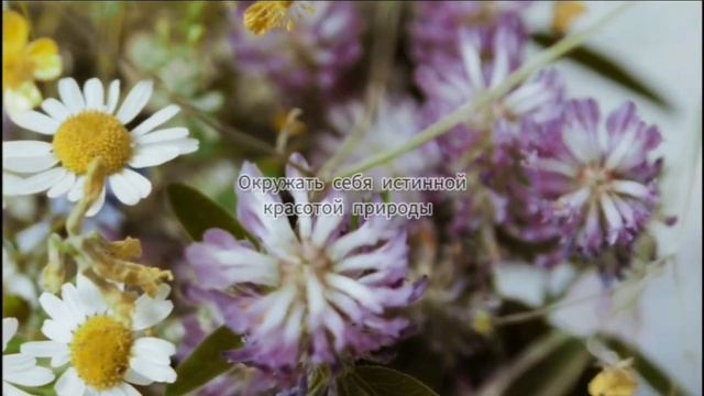 Курс "Углубленное травничество 2.0" стартует уже сегодня! смотреть онлайн