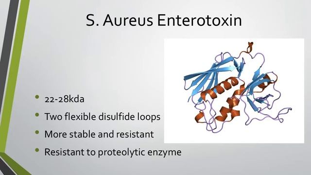 Staphylococcus Aureus - Food Poisoning смотреть онлайн