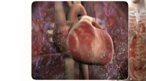 Настрой Сытина   Читает автор метода Г  Сытин