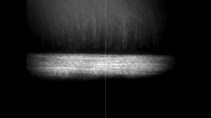 Охота на ЛИС! 4 дня его караулил!