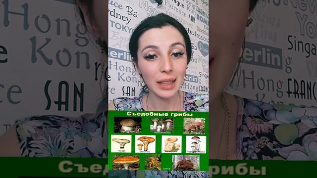 Окружающий мир "Грибы" смотреть онлайн