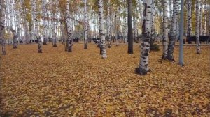 Аптекарям не выгодно продовать копеечнее средство... Бефунгин  лечит даже...