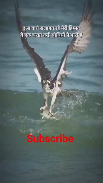 2 May 2023 смотреть онлайн