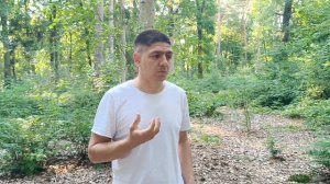 Овцеводство | Можно ли кормить овец соломой?