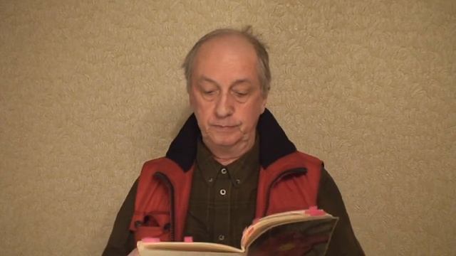 МОИ СТИХИ ВЫПУСК 3 стихи ШНЕЙВАСА БОРИСА #моистихи #стихишнейвасабориса #шнейвасборис #поэзия смотреть онлайн