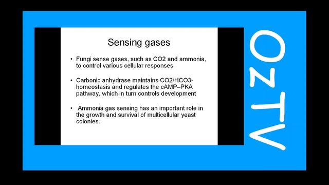 Sensing the environment, lessons from fungi! Mantarlar çevrelerini/ortamlarını nasıl hissederler? смотреть онлайн