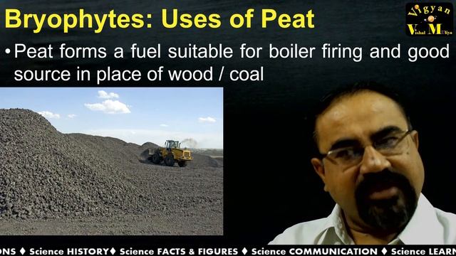 Economic Imp of Bryophytes with Gujarati Narration смотреть онлайн