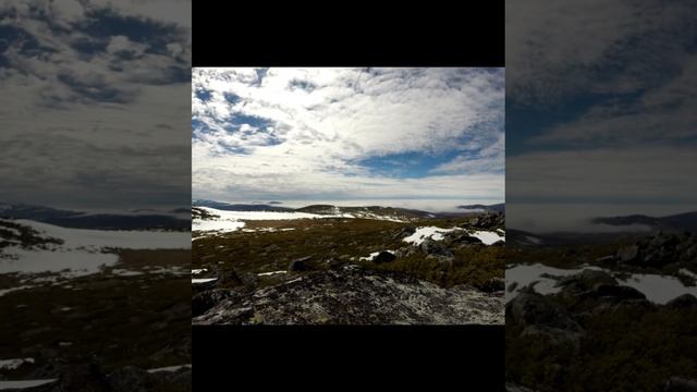 #стихи #поэзия #литература смотреть онлайн