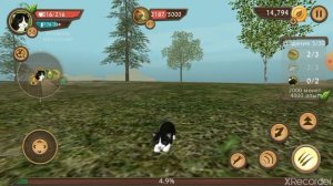 Cat Sim Симулятор кошки Челлендж победить всех боссов