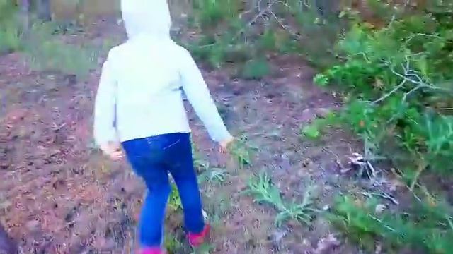 ВЛОГ Маша собирает грибы смотреть онлайн