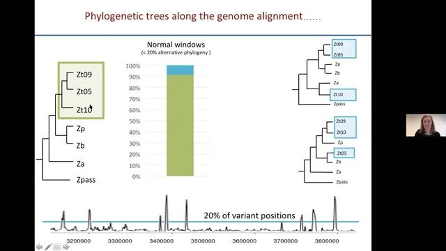 Eva Stukenbrock | Interspecific hybridization in fungal grass pathogens shape genome-wide variation смотреть онлайн