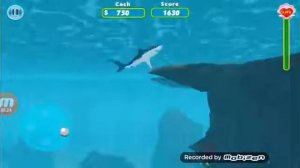Симулятор акулы