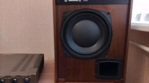 Акустическая система 35 АС-201