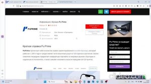обзор брокера Puprime - настоящие отзывы о puprime.net. Можно ли верить?
