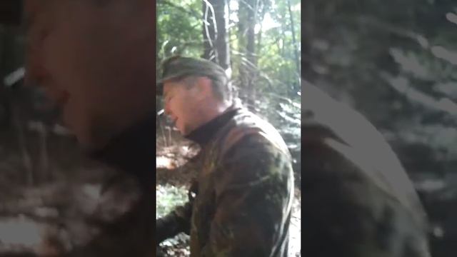 Грибы поперли.. смотреть онлайн