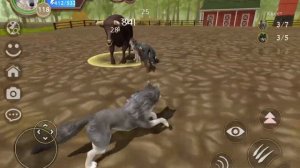 Победил яростного быка WildCraft