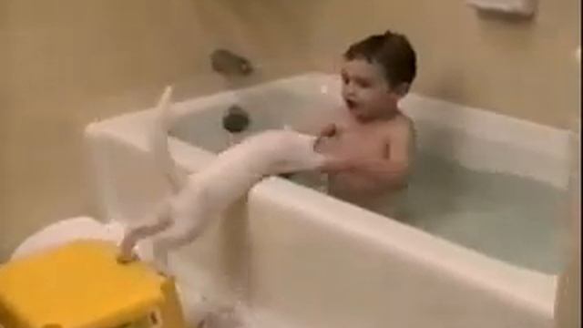 Prikoly pro KoTe 240 смотреть онлайн