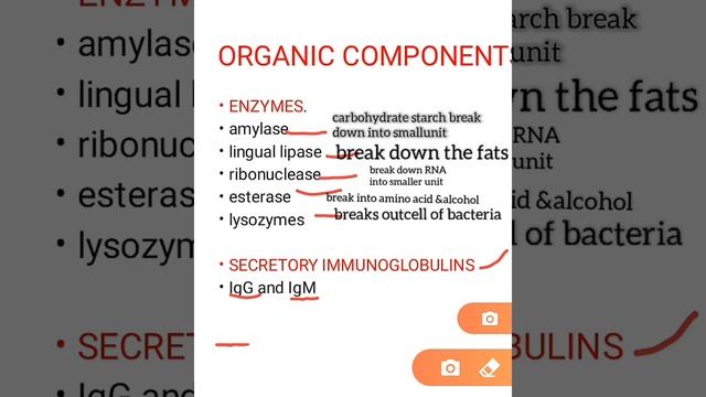 composition of saliva смотреть онлайн