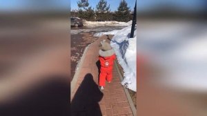 Бородина и Тея гуляют во дворе Теона обижает кота