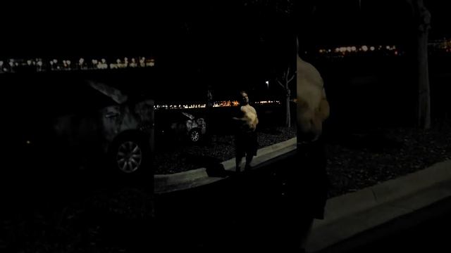 Ultimate truffle смотреть онлайн