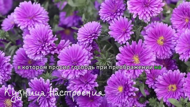 18 марта - 4 мая Великий Пост. Что нельзя делать в Великий пост. Народные традиции и приметы.