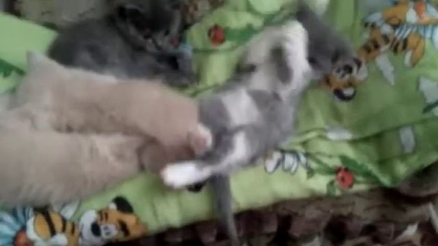 3 июля 2021 г. смотреть онлайн