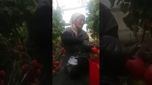 #онажон#шерият Онам эккан гулу-райхон сулмайди деб ўйлабман