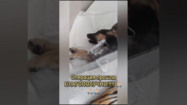 Спасибо за помощь для Лeди!