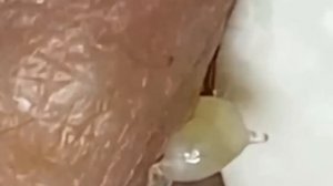 العناية بالبشرة الفاخرة اليومية للوجه مع وكالة ناسا #NASA1020