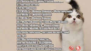 DVD - меню : Телеканал мультимузыка песенки для детей сторона 2