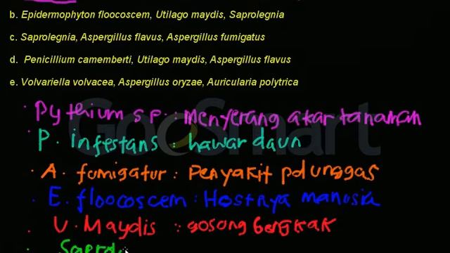 Jamur Menguntungkan смотреть онлайн