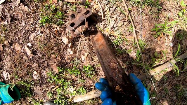 Разведка УЖД уса. Набрал белых 🍄 грибов. Середина июня смотреть онлайн