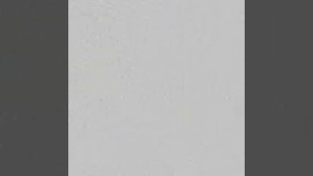 Catching some fungi смотреть онлайн