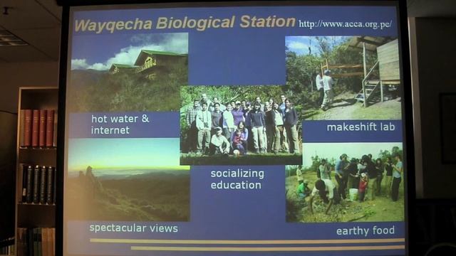 Alessandro Catenazzi- November 28, 2012 смотреть онлайн