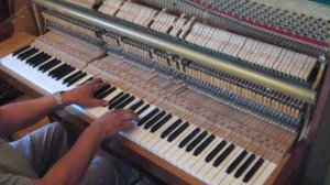 Pianino Calisia