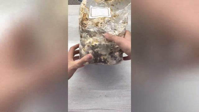 Набір для вирощування грибів шиїтаке смотреть онлайн