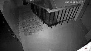 2 шонга подряд и реакция камеры