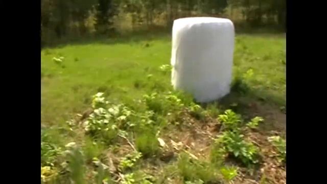 поход за грибами.часть 2 смотреть онлайн