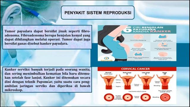 Biologi Kls XI - Kelainan dan Teknologi pd Sistem Reproduksi Manusia Bayi Tabung & Surrogate Mother смотреть онлайн