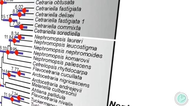 Один год систематики. Заметки смотреть онлайн