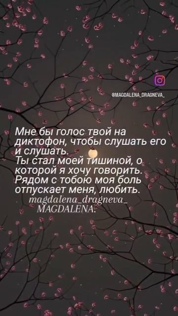 поэзиястихи рекомендации shorts трендыкишинев moldovaфилософияпсихология poetruпопулярно