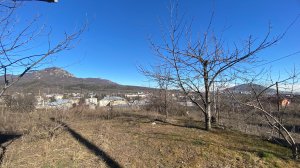 Выгодная цена!