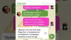 Переписка Леди баг и Супер кот "Ты сам в этом виноват!!!"